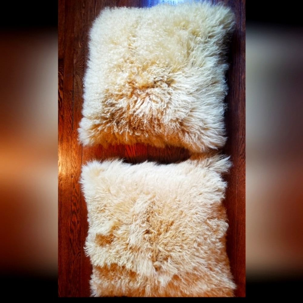 Z gallerie Mongolian 22 inch Pillows.